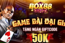 Box88 Giftcode – Chơi game bài tặng tiền 50k cho người chơi mới